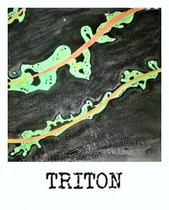 triton1